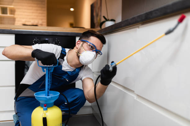 Best Cockroach Control Services  in Boaz, WV