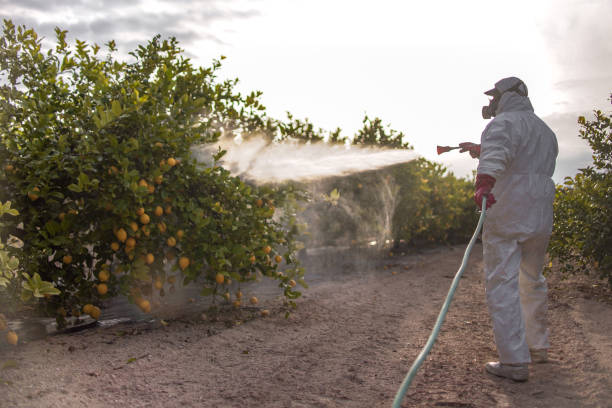 Pest Control for Restaurants in Boaz, WV
