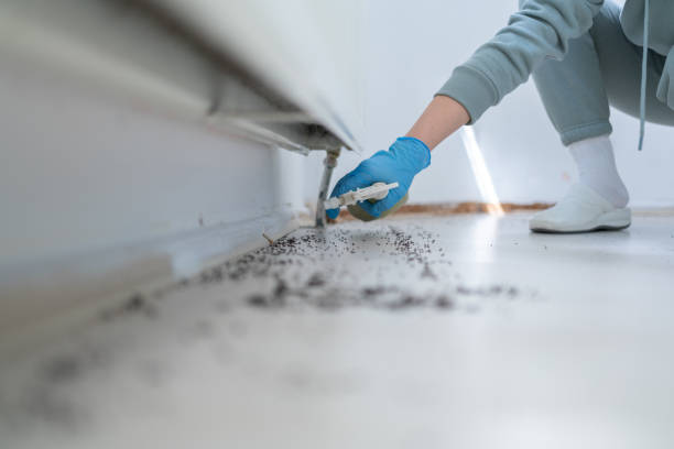 Pest Prevention Services in Boaz, WV